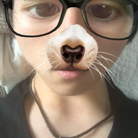 小鳥のさえずりの画像