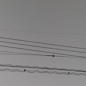 UFO?人工衛星？の画像