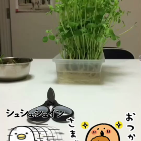 作品シリーズ⭐️2の画像