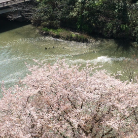 日曜。の画像