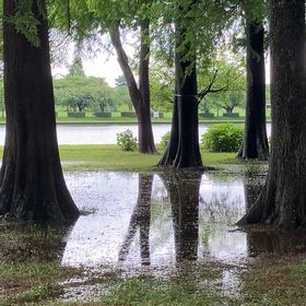 雨上がりの楽しみ方。の画像