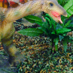 あぶない⚪️⚪️。の画像