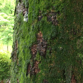 自分的ラッキー。の画像
