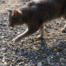 偶然。の画像