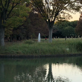 公園の画像