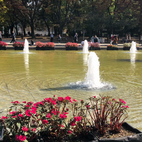 公園の画像
