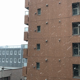 雪の画像