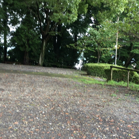 まだ夏 ⁇  もう秋だよね⁈の画像