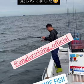 追記の画像