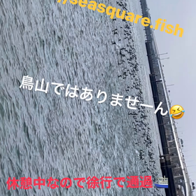 春の陽気の画像