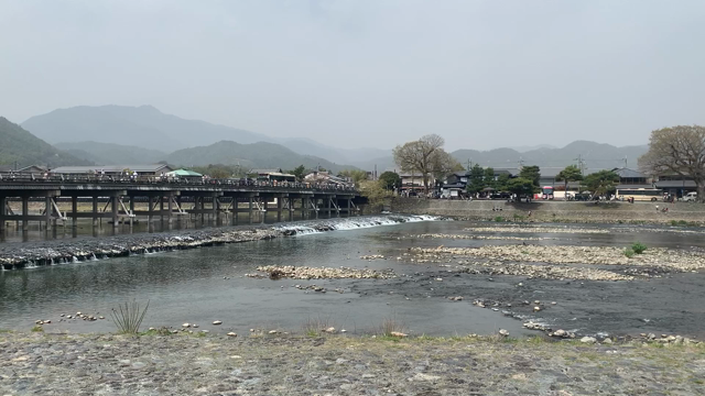 京都・嵐山でお花見の記事動画
