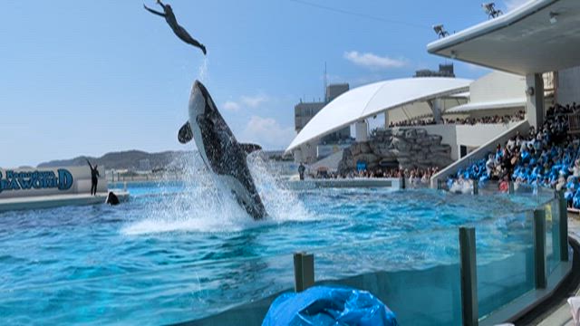 2026春、千葉旅行 - vol.1 鴨シー満喫 2DAYSチケット  -の記事動画
