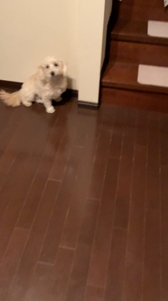 休日につきの記事動画