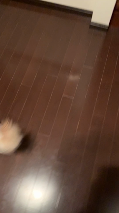 休日につきの記事動画
