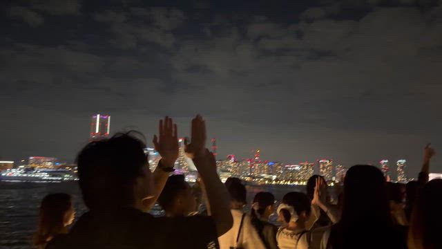 ライブ行ってきたよの記事動画