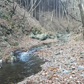 癒しを求めての画像
