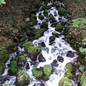 釣りの合間の癒しの画像