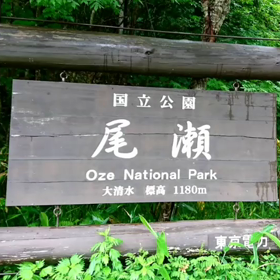 沢登りとの遭遇の画像