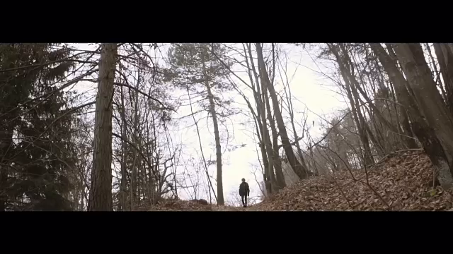 ハワイなうの記事動画