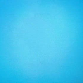 イサキ釣り水中撮影の画像