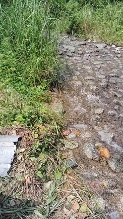 たまには息抜き（生き抜き）の記事動画