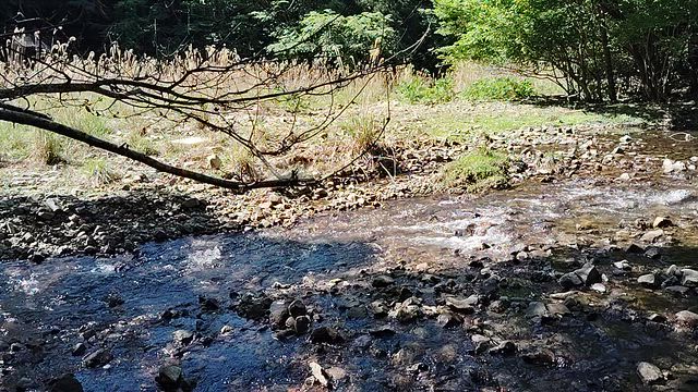 まだ平常心には戻れなかったみたいですの記事動画