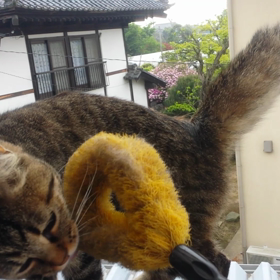 羨ましい！の画像