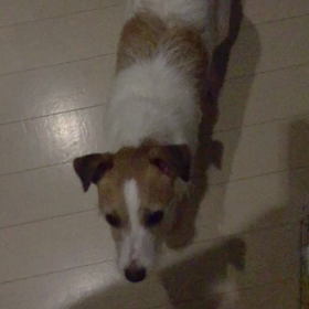 物乞いテムちゃんwwwの画像