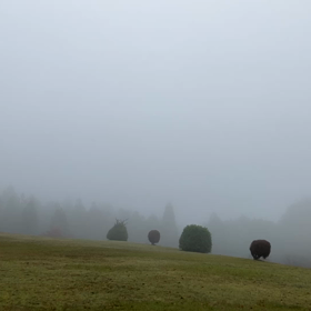 おはようございますの画像