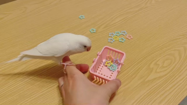 ７月になりましたの記事動画