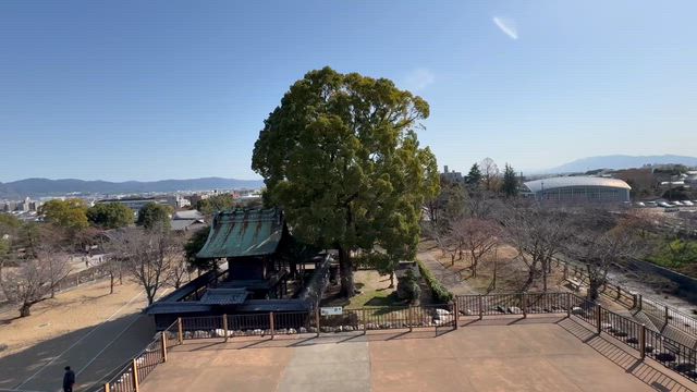 大和郡山　盆梅展とひな祭り　♫の記事動画
