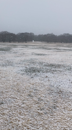 雪の日の昭和記念公園レポの記事動画