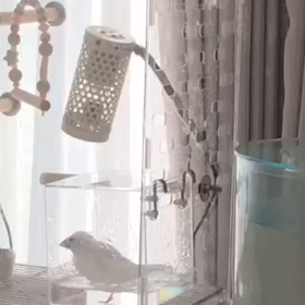 水浴びの画像