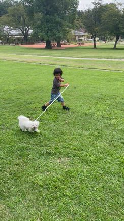 ９月末ですが夏休みの思い出を投稿します❣️の記事動画