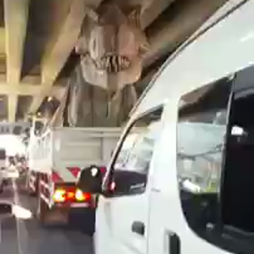 猫ではないのです。ぶったまげた動画です。の画像