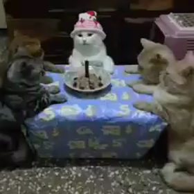 お誕生会♪の画像