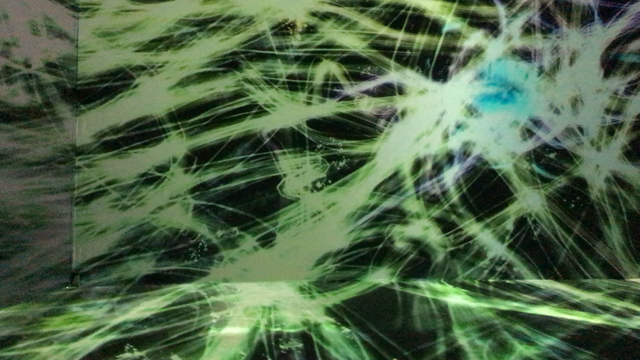 自分という宇宙を信頼するの記事動画