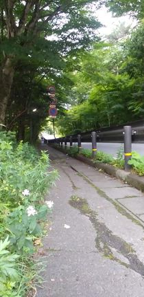 大人の階段のぼる夏合宿2024②の記事動画