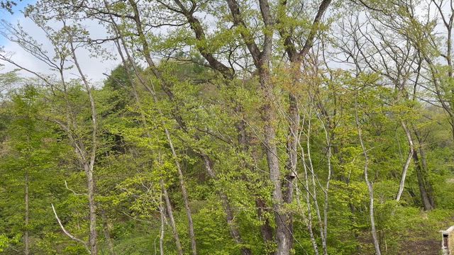 新緑の軽井沢〜フォレストヴェール→ゴルフの記事動画