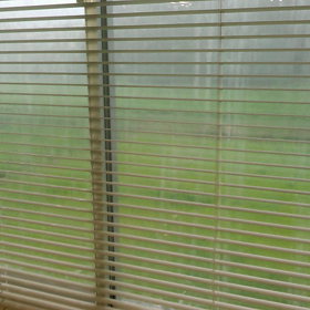 大雨洪水警報発令中( ; ゜Д゜)の画像