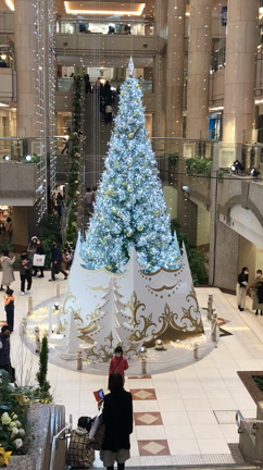 みなとみらいのクリスマスツリー巡りの記事動画