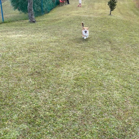 休日の楽しみの画像