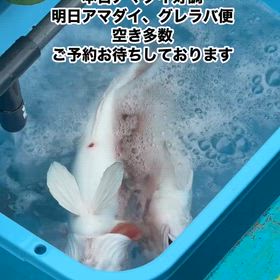速報の画像