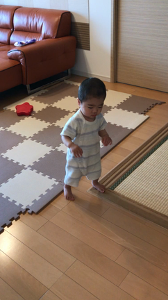 動画に収めたい瞬間の記事動画
