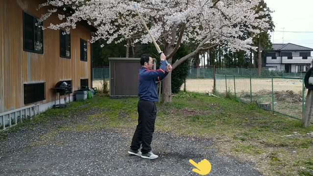 自宅稽古(素振り)のポイントの記事動画