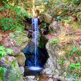 伊野皇大神宮と思い出した事の画像