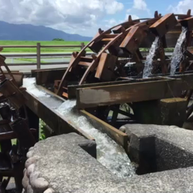 朝倉の三連水車❤️の画像