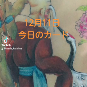 12月11日「今日のカード」の画像