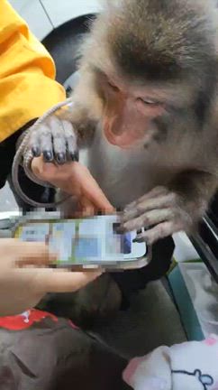 スマホの記事動画