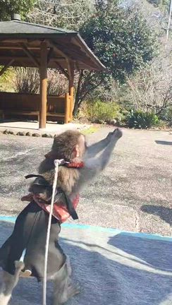 暖かくなってきましたねの記事動画